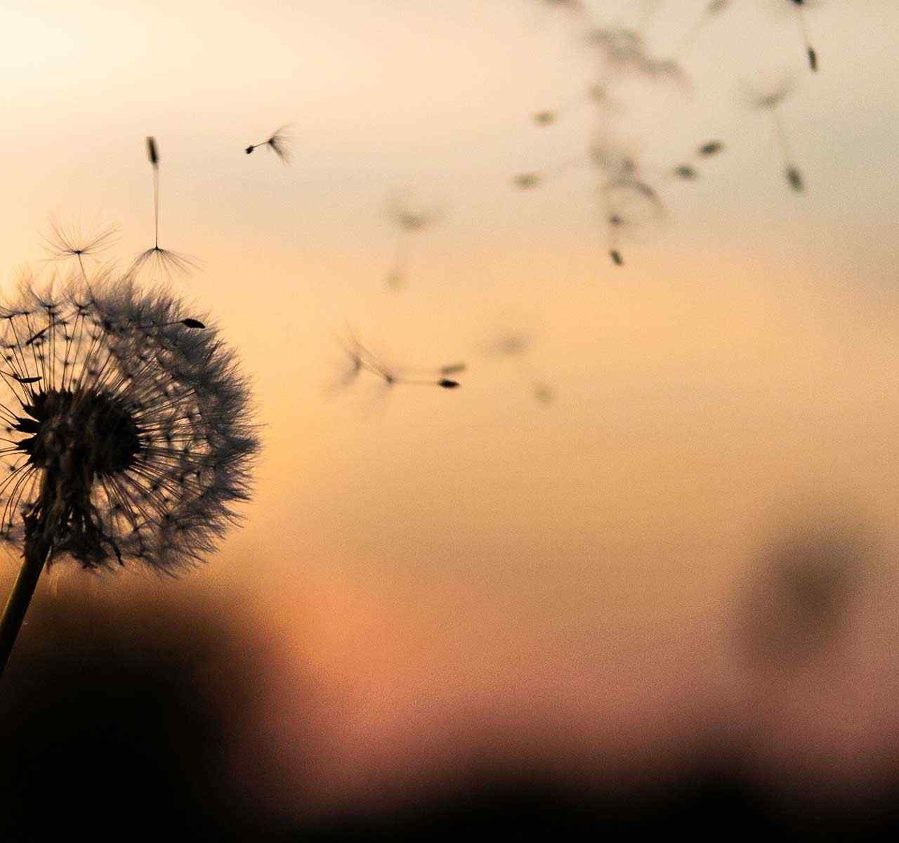 https://nomocultus.gr/wp-content/uploads/2018/09/post_02-1280x1200.jpg