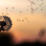 https://nomocultus.gr/wp-content/uploads/2018/09/post_02-160x160.jpg