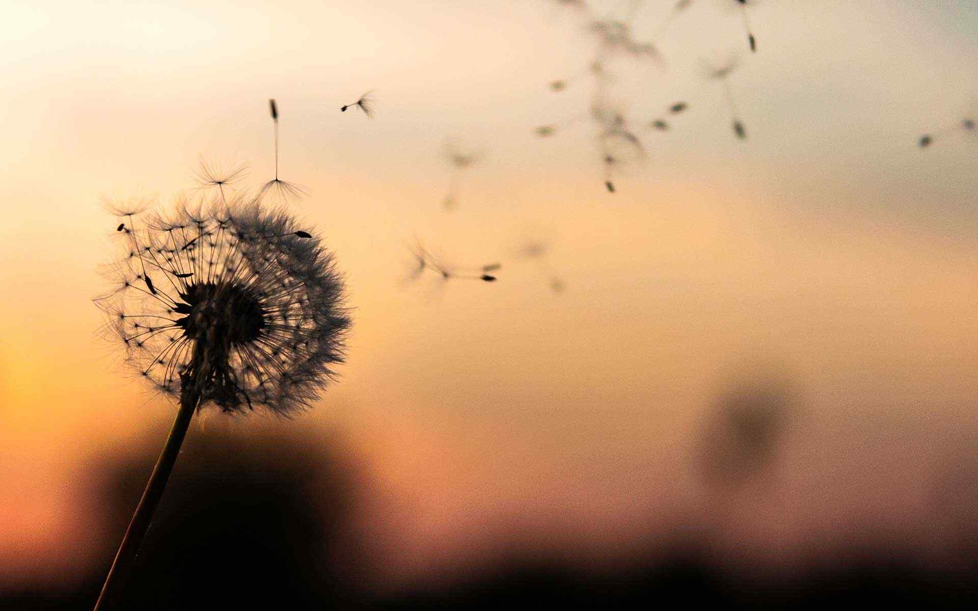 https://nomocultus.gr/wp-content/uploads/2018/09/post_02.jpg